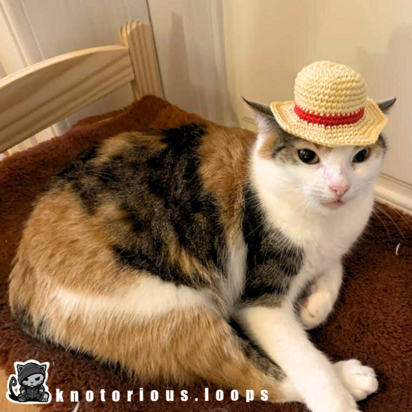 Amigurumi Straw Hat Cat Hat - No-sew Amigurumi Straw Hat / Cat Hat - No-sew