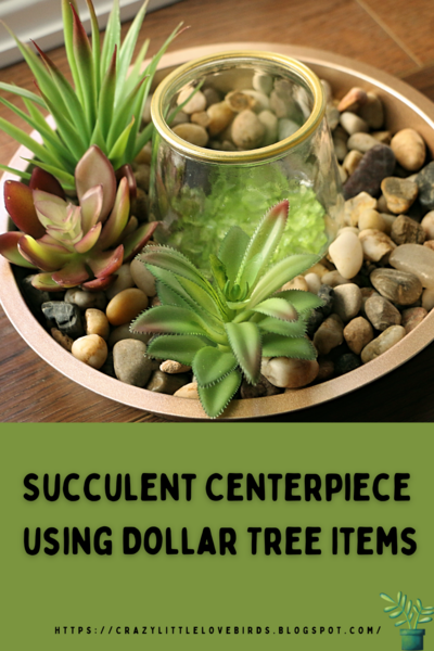 Succulent Centerpiece Using Dollar Tree Items Succulent Centerpiece Using Dollar Tree Items