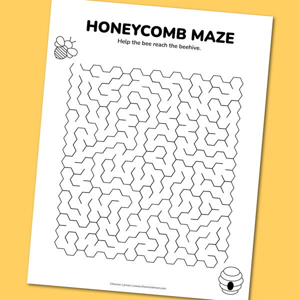 Honeycomb Maze Honeycomb Maze