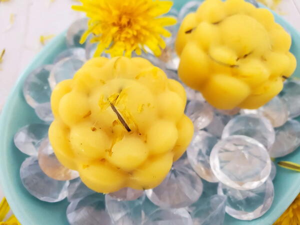 Dandelion Lotion Bar Recipe Dandelion Lotion Bar Recipe