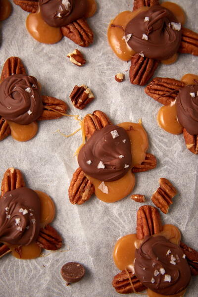 Turtle Candy Turtle Candy