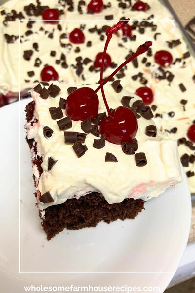 Black Forest Cake Recipe In A 913 Pan Black Forest Cake Recipe In A 9×13 Pan