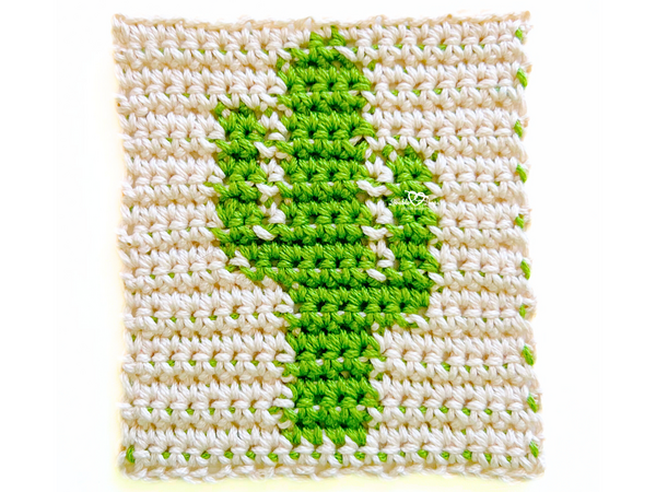 Cactus Square Cactus Square