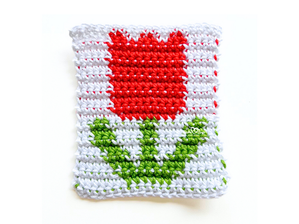 Tulip Square Tulip Square