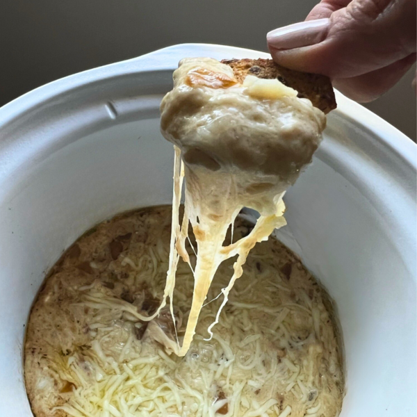 Slow Cooker Caramelized Onion Dip Slow Cooker Caramelized Onion Dip