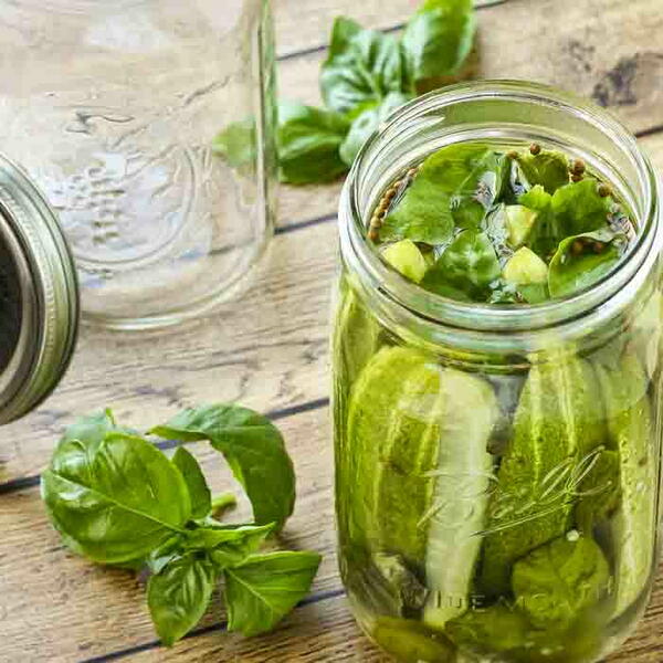 No-cook Refrigerator Pickles With Jalapeno And Basil No-cook Refrigerator Pickles With Jalapeno And Basil
