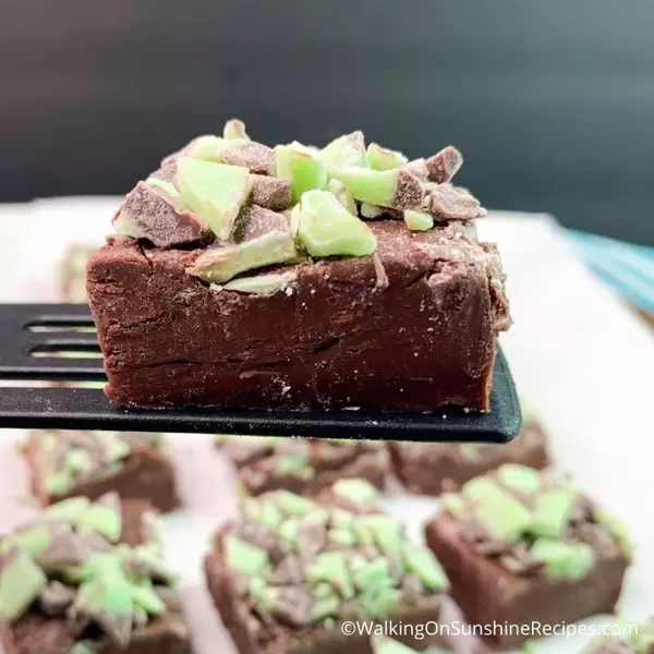 Mint Chocolate Fudge Mint Chocolate Fudge