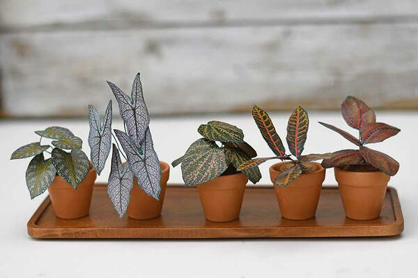 Paper Potted Plants Paper Potted Plants