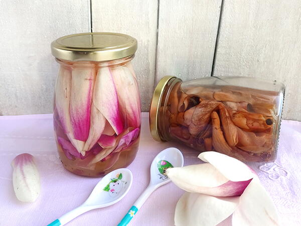 Pickled Magnolia Blossoms Pickled Magnolia Blossoms