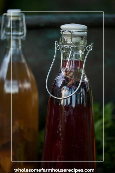 Refreshing Blueberry Kombucha Refreshing Blueberry Kombucha