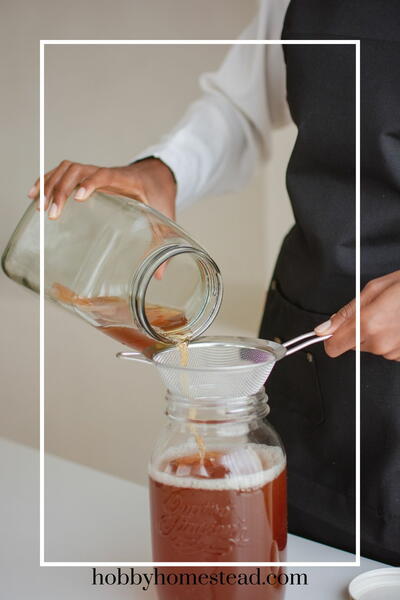 Delightful Blueberry Kombucha Delightful Blueberry Kombucha