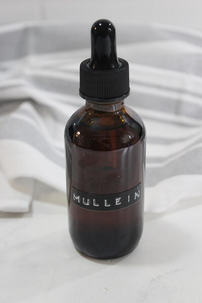 How To Make Mullein Tincture How To Make Mullein Tincture