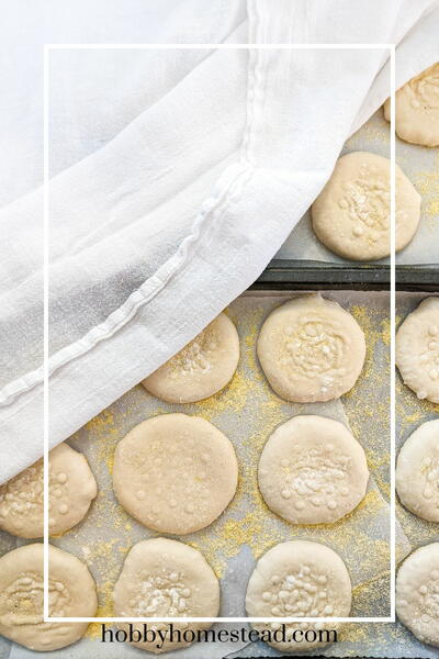 Hearty Homemade Sourdough English Muffins Recipe Hearty Homemade Sourdough English Muffins Recipe