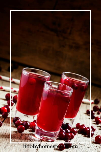 Easy Old-fashioned Cranberry Juice Canning Recipe Easy Old-fashioned Cranberry Juice Canning Recipe