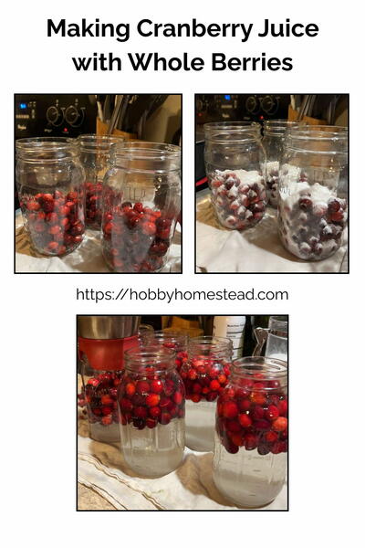 Simple Cranberry Juice Canning Recipe For Beginner Simple Cranberry Juice Canning Recipe For Beginner