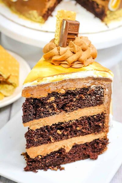 Smores Cake Smores Cake