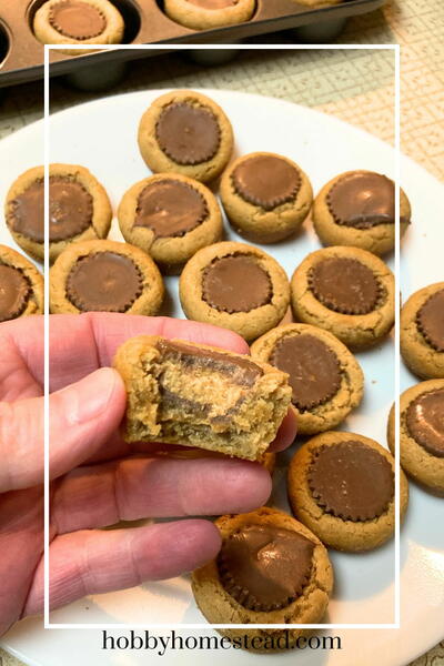 Easy Peanut Butter Cookie Cups family Favorite Easy Peanut Butter Cookie Cups (family Favorite)