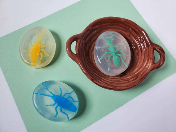 Bug Homemade Soap For Kids Bug Homemade Soap For Kids