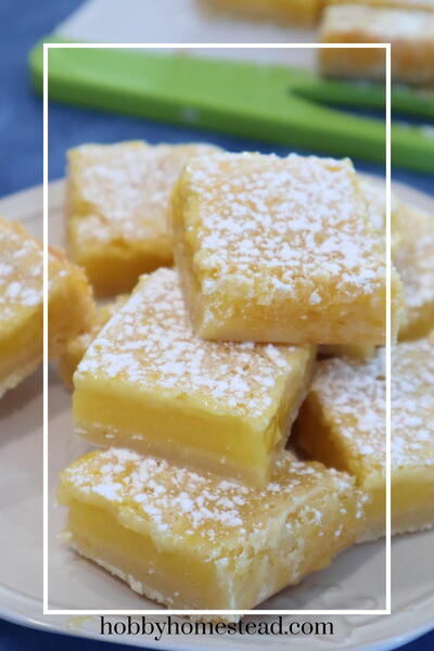 Classic Luscious Lemon Bars With Homemade Shortbread Crust Classic Luscious Lemon Bars With Homemade Shortbread Crust