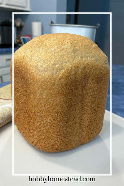 Easy Bread Maker Sourdough Bread Easy Bread Maker Sourdough Bread