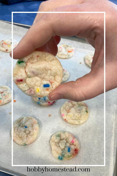 Festive Mini Sprinkle Cookies For Every Season Festive Mini Sprinkle Cookies For Every Season