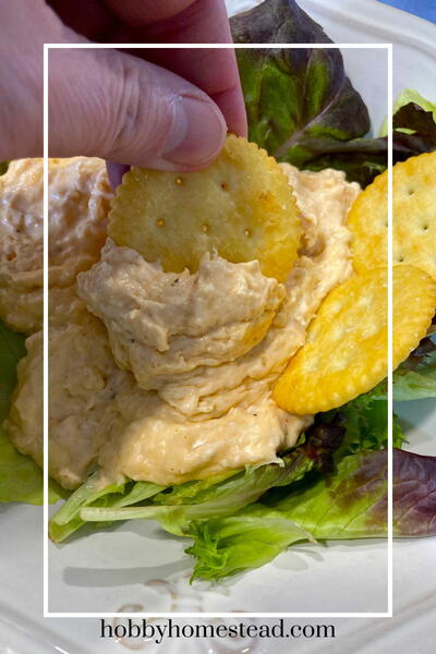 Cheesy Buffalo Chicken Dip Cheesy Buffalo Chicken Dip