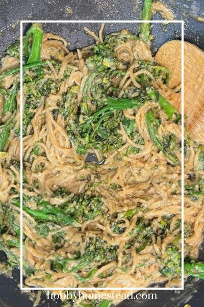 Quick Peanut Sauce Pasta With Broccolini Quick Peanut Sauce Pasta With Broccolini