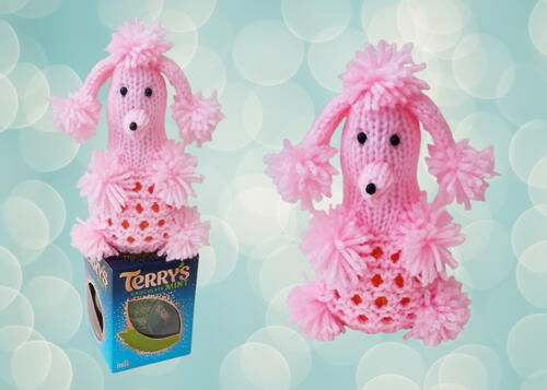 Poodle Chocolate Orange Cosy Poodle Chocolate Orange Cosy