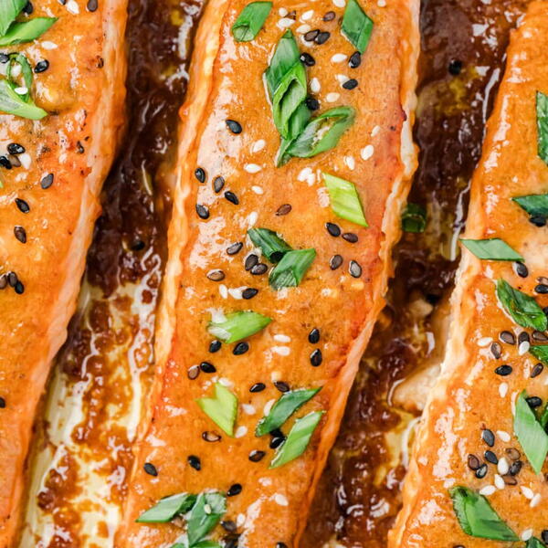 Miso Salmon Miso Salmon