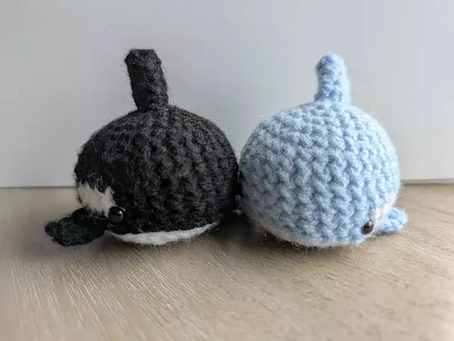 Orca Whale Orca Whale