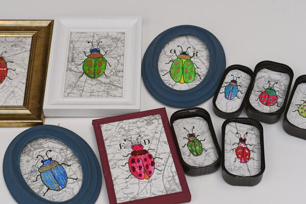 Beetle Map Art Beetle Map Art