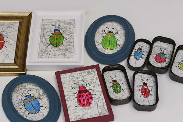 Map Beetle Art Map Beetle Art