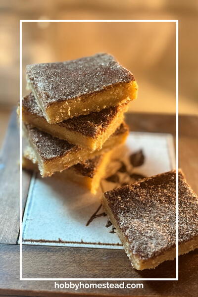 Chewy Snickerdoodle Bars Better Than Individual Cookies Chewy Snickerdoodle Bars Better Than Individual Cookies