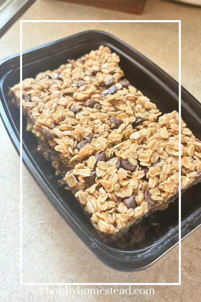 Mals Browned Butter Sourdough Granola Bars Mal’s Browned Butter Sourdough Granola Bars