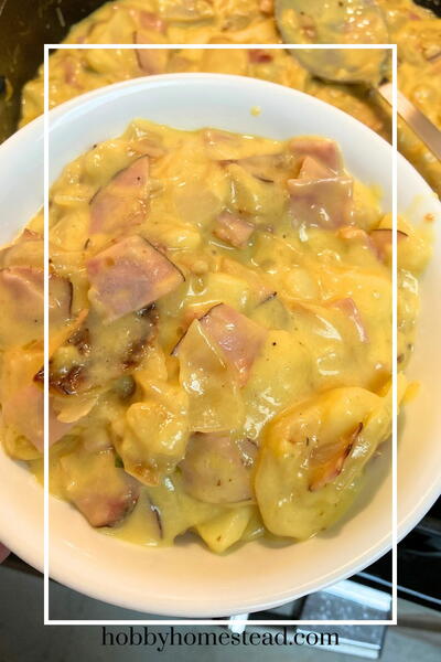 Old-fashioned Ham And Potatoes In Creamy Cheddar Sauce Old-fashioned Ham And Potatoes In Creamy Cheddar Sauce