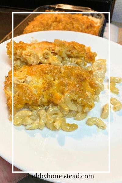 Old-fashioned Pioneer Macaroni And Cheese Old-fashioned Pioneer Macaroni And Cheese