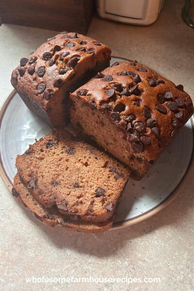 Chocolate Chip Applesauce Loaf moist Easy Quick Bread Chocolate Chip Applesauce Loaf (moist & Easy Quick Bread)