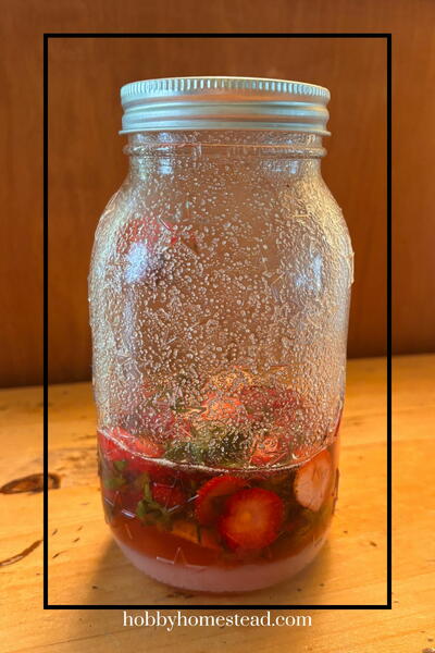Refrigerator Strawberry Top Syrup That Wastes Nothing Refrigerator Strawberry Top Syrup That Wastes Nothing