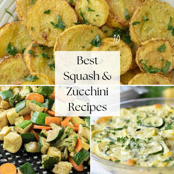 Squash And Zucchini Recipes Squash And Zucchini Recipes
