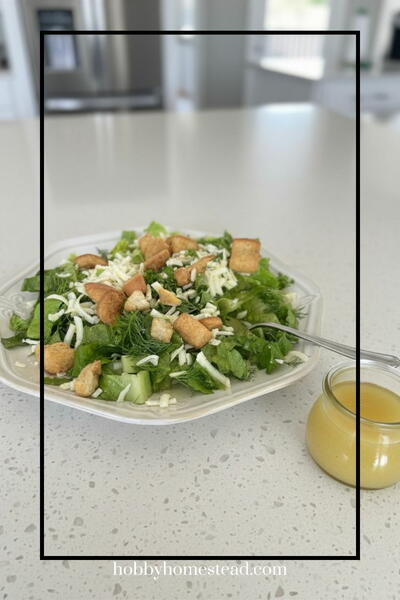 Garden Fresh Herb Salad With Bright Lemon Vinaigrette Garden Fresh Herb Salad With Bright Lemon Vinaigrette