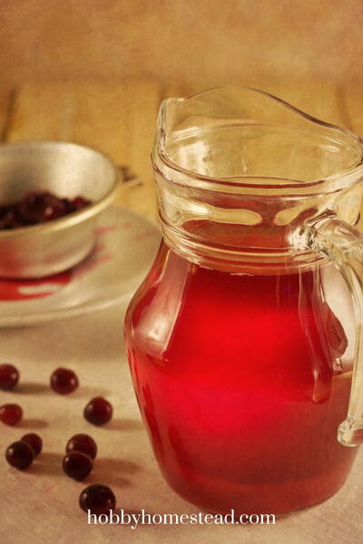 Homemade Winter Berry Spritzer Homemade Winter Berry Spritzer