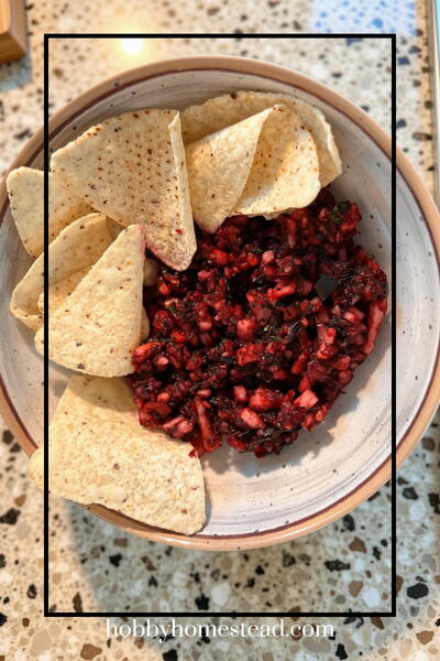 Sweet And Savory Apple Blueberry Salsa Sweet And Savory Apple Blueberry Salsa