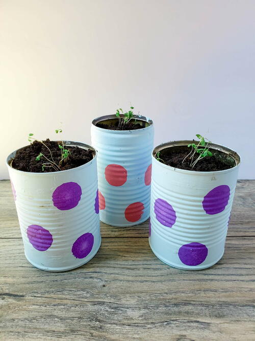Polka-dot Upcycled Can Planters Planting Flowers From Seeds Polka-dot Upcycled Can Planters & Planting Flowers From Seeds