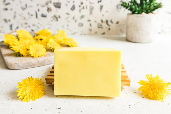 Dandelion Soap Diy Dandelion Soap Diy