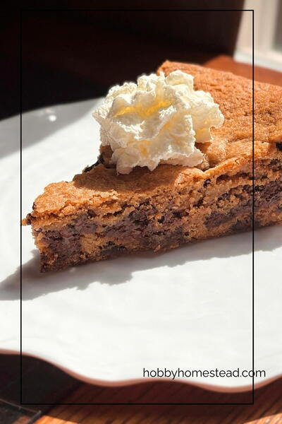 Sourdough Discard Skillet Cookie With Browned Butter Sourdough Discard Skillet Cookie With Browned Butter