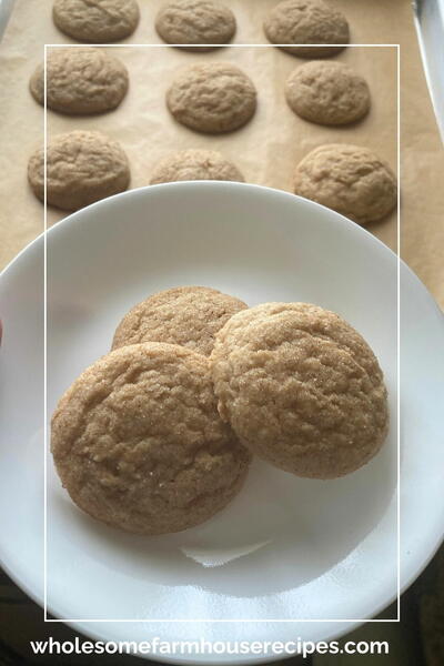Apple Cider Cookies With Cinnamon Sugar Apple Cider Cookies With Cinnamon Sugar