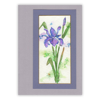 Three Watercolor Flower Cards