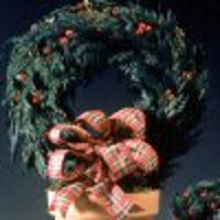 Cedar Wreath Topiaries