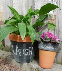 Chalk Paint Garden Pots