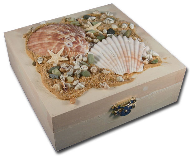Seashell Treasure Box